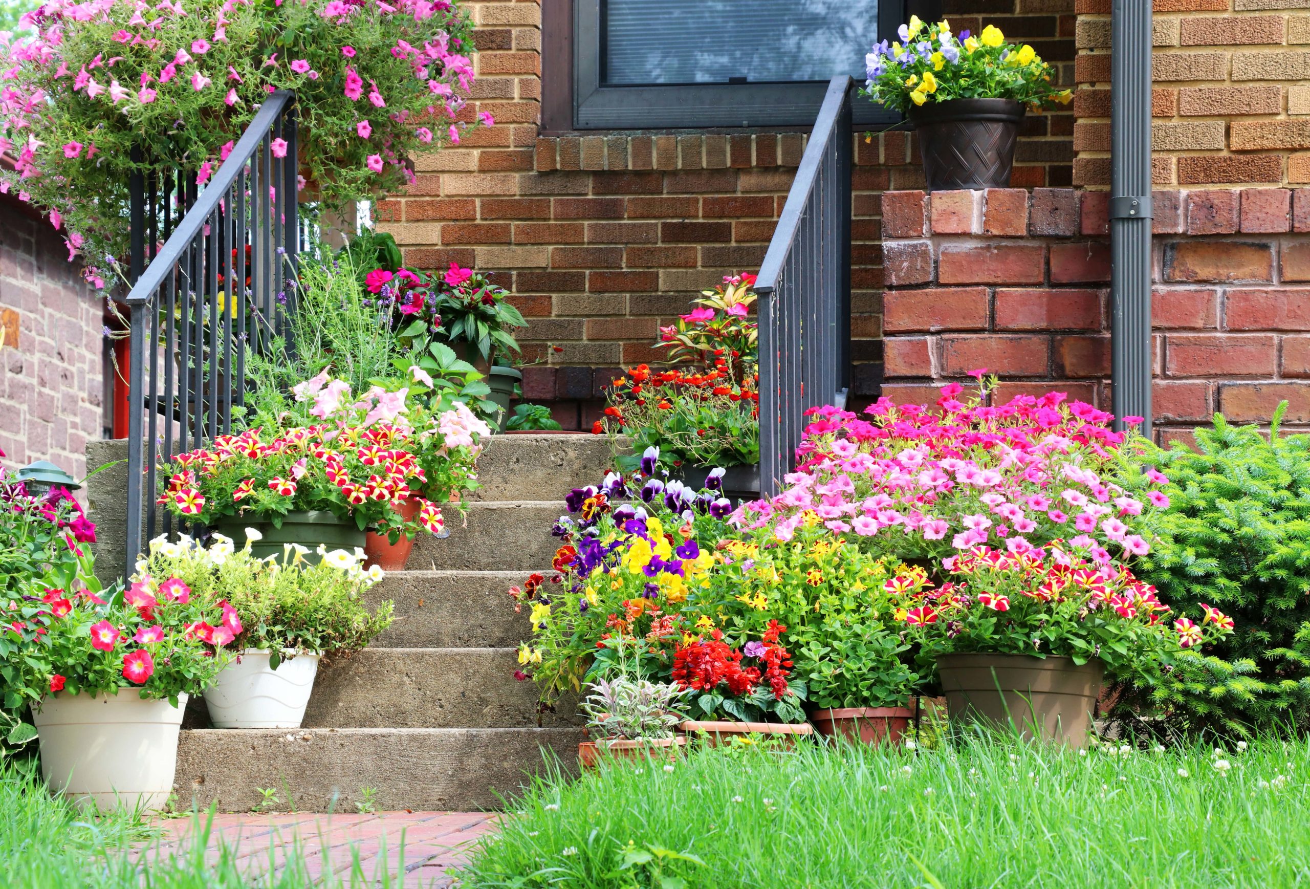 Residential property with flowers on porch steps